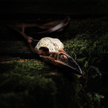 Viking raven skull with dark beak and weathered bone, resting on moss.