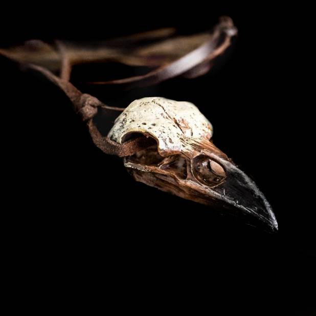 Raven Skull with Leather Cord Viking Necklace