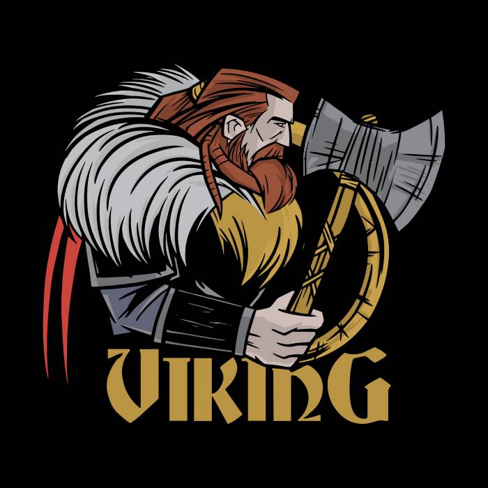 Viking Warrior Emblem Shirt